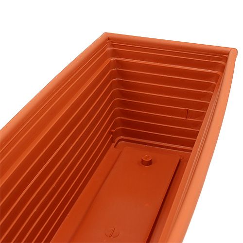 Floristik24 Cassetta da balcone &quot;Nowa&quot; terracotta 51cm x 21cm, 1pz