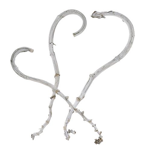 Floristik24 Banana Stick Bianco 5 pz