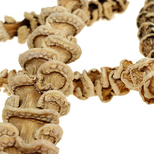 Prodotto Gambo di banana sbiancato 20 pz