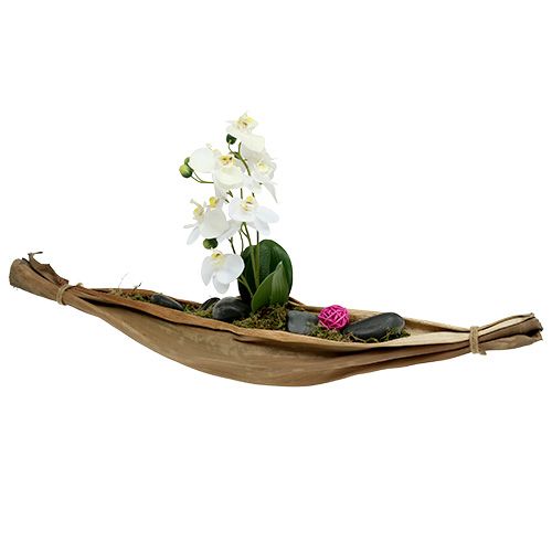 Floristik24 Ciotola in foglie di banana 40-45 cm naturale 1 pezzo