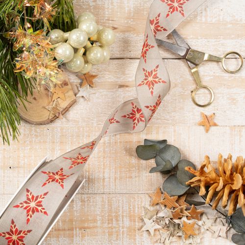 Nastro decorativo con stelle rosse, largo 40 mm, lungo 15 m. | Floristik24.it