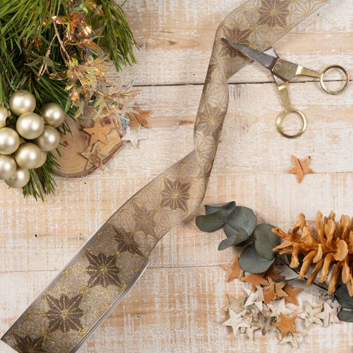 Nastro decorativo con stelle, nastro regalo con bordo dimensionalmente stabile, larghezza 40 mm, lunghezza 20 m | Floristik24.it