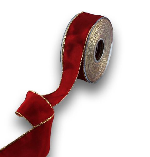 Floristik24 Nastro in seta Bordo con bordo oro 40mm 25m