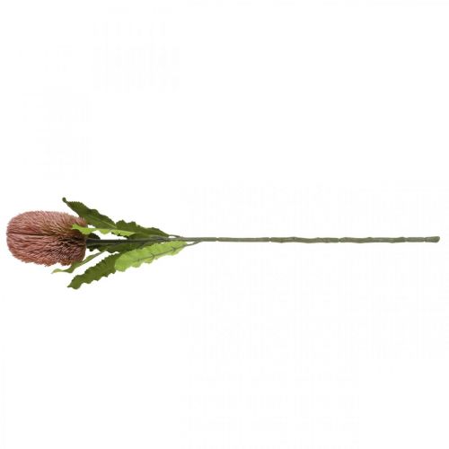 Prodotto Fiore artificiale Banksia rosa decorazione autunnale floristica commemorativa 64 cm
