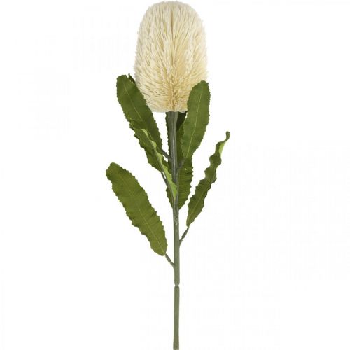 Prodotto Artificial Flower Banksia White Cream Artificial Exotics 64cm
