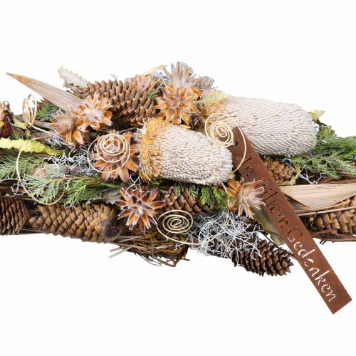 Floristik24 Banksia Hookerana naturale 7 pz