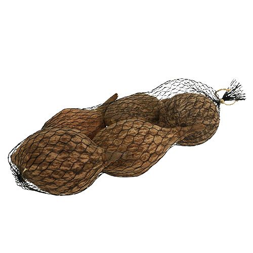 Floristik24 Frutto di baobab sbucciato 15 cm - 20 cm naturale 5 pz