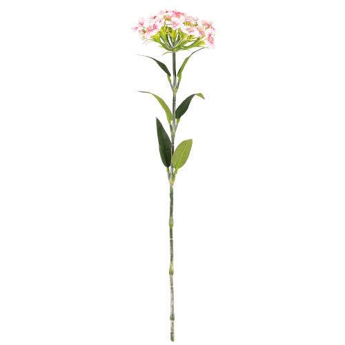 Prodotto Garofano barbuto Garofano artificiale Rosa pesca 52 cm