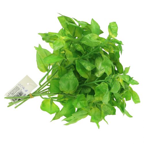 Floristik24 Basilico verde artificiale 25cm 6pz