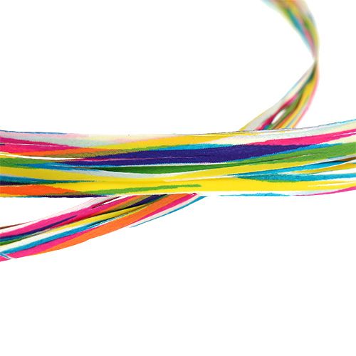 Floristik24 Bast come Nastro regalo per la decorazione colorato 200m
