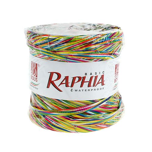 Floristik24 Bast come Nastro regalo per la decorazione colorato 200m