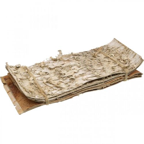 Floristik24 Strisce decorative di corteccia d'albero corteccia di betulla naturale 30×12 cm 6 pezzi