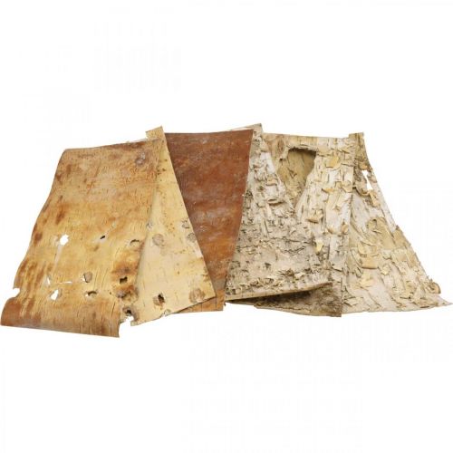 Floristik24 Strisce decorative di corteccia d'albero corteccia di betulla naturale 30×12 cm 6 pezzi