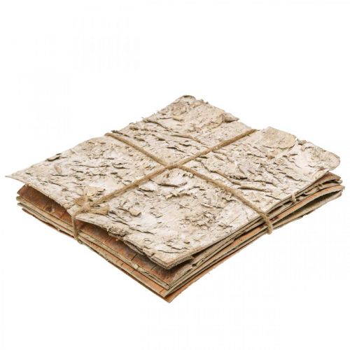 Floristik24 Corteccia d&#39;albero corteccia decorativa corteccia di betulla quadrata naturale 20×20 cm 6 pz