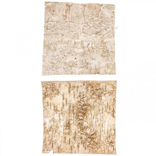 Floristik24 Corteccia d&#39;albero corteccia decorativa corteccia di betulla quadrata naturale 20×20 cm 6 pz