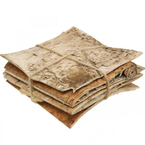 Floristik24 Corteccia d'albero corteccia decorativa corteccia di betulla quadrata naturale 10×10 cm 6 pz