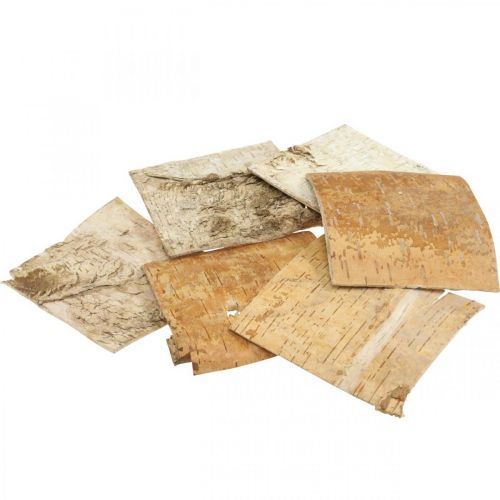 Floristik24 Corteccia d'albero corteccia decorativa corteccia di betulla quadrata naturale 10×10 cm 6 pz