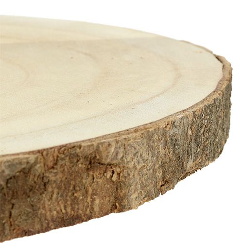 Floristik24 Fetta di albero natura Ø20cm - 30cm
