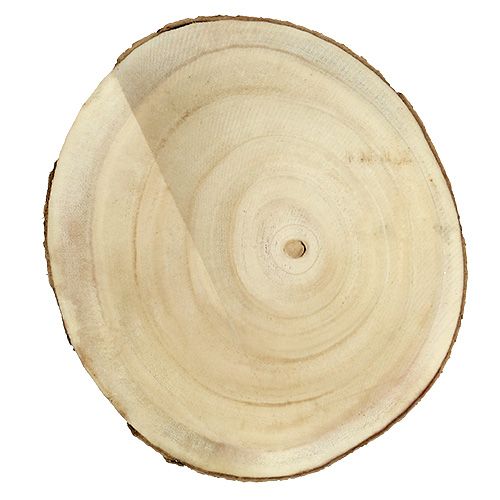 Floristik24 Fetta di albero natura Ø20cm - 30cm