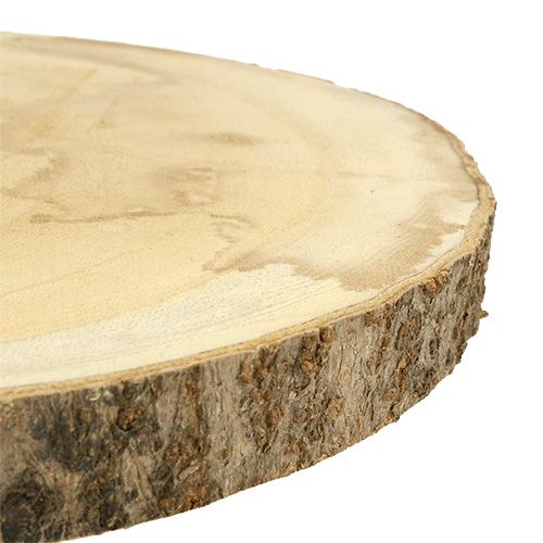 Floristik24 Disco albero Ø30cm - 35cm natura