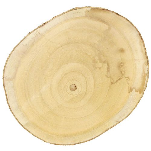 Floristik24 Disco albero Ø30cm - 35cm natura