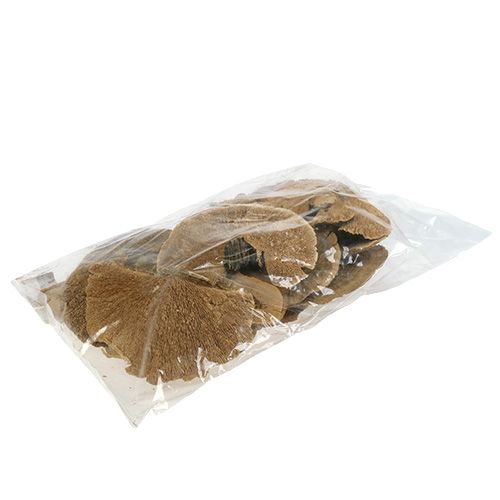 Floristik24 Spugna d&#39;albero natura 500g