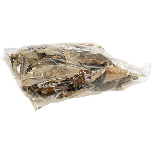 Prodotto Funghi decorativi naturali in spugna per albero secchi 6 cm 1 kg