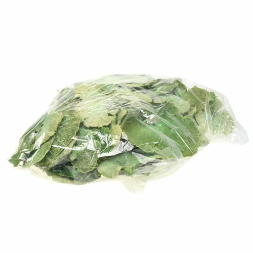 Prodotto Spugna per albero verde bianca lavata 1kg