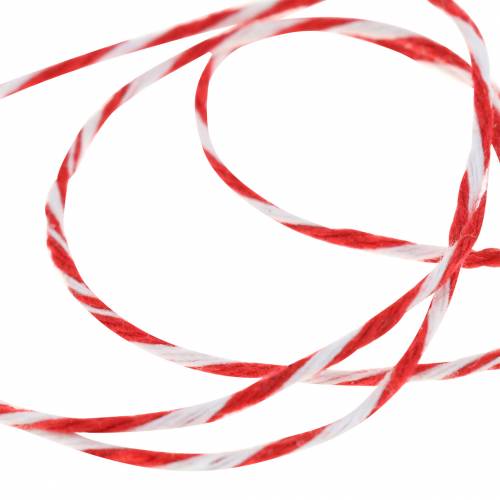 Floristik24 Cavo rosso / bianco 220m