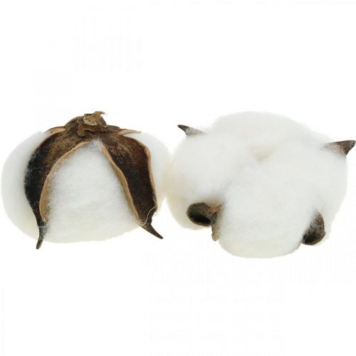 Prodotto Decorazione fiori di cotone decorazione naturale in cotone essiccato Ø6cm 12 pz