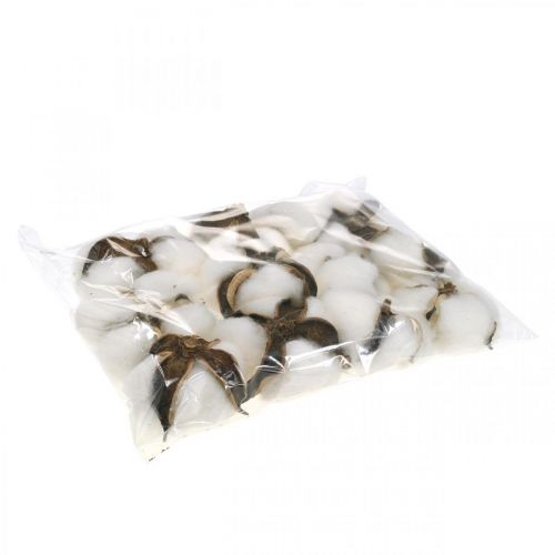 Prodotto Decorazione fiori di cotone decorazione naturale in cotone essiccato Ø6cm 12 pz