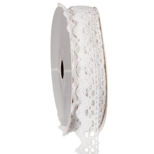 Nastro decorativo in pizzo, passamaneria in cotone pregiato per lavori artigianali, larghezza 15 mm, lunghezza 10 m. acquistare | Floristik24.it