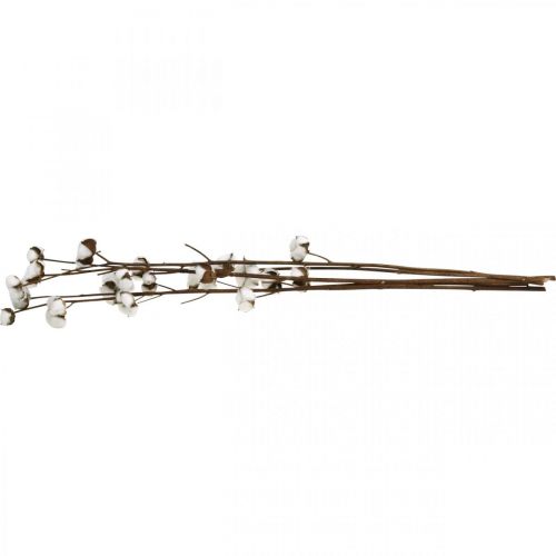 Prodotto Ramo in cotone, ramo decorativo in cotone, vero cotone L80cm 5 pezzi