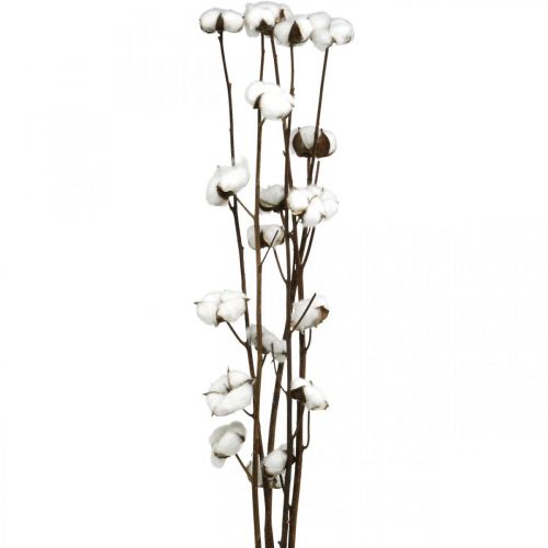 Prodotto Ramo in cotone, ramo decorativo in cotone, vero cotone L80cm 5 pezzi