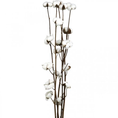 Cotone Essiccati Fiori Di Cotone Steli Di Cotone Fiori Artificiali In  Cotone Rami Decorativi Fiori Finti Per Decorazioni Interno Rami Decorativi  Per Bouquet Fiori Secchi Rami Secchi Decorativi, 20PCS 