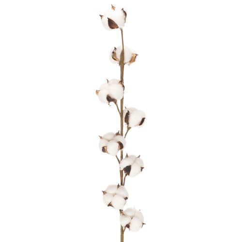 Ramo artificiale di cotone con 8 fiori veri, 78 cm acquistare | Floristik24.it