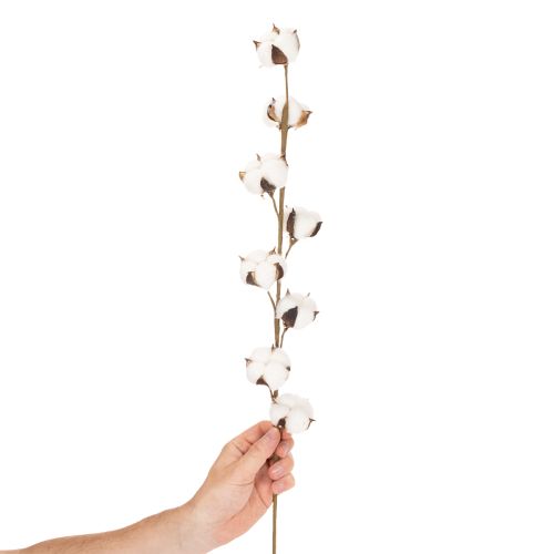 Ramo artificiale di cotone con 8 fiori veri, 78 cm | Floristik24.it
