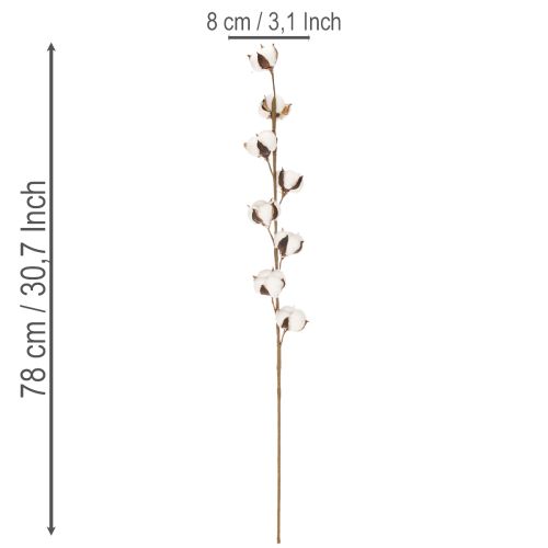 Ramo artificiale di cotone con 8 fiori veri, 78 cm | Floristik24.it