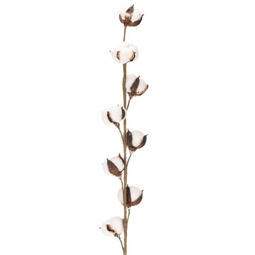 Ramo artificiale di cotone con 8 fiori veri, 78 cm | Floristik24.it