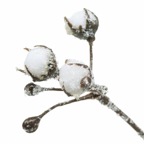 Floristik24 Ramo di cotone ghiacciato 47 cm