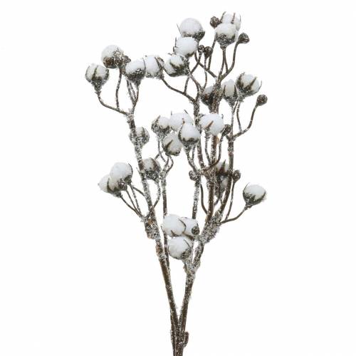 Ramo di cotone ghiacciato 47 cm