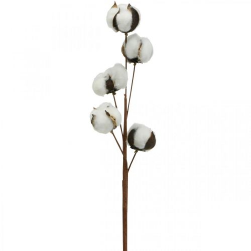 Floristik24 Ramo decorativo in cotone Ramo decorativo in vero cotone 5 teste 50 cm