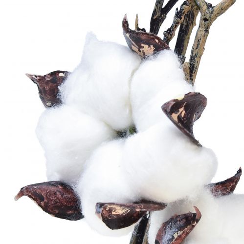 Floristik24 Ramo di cotone fiori di cotone artificiale marrone bianco L95 cm