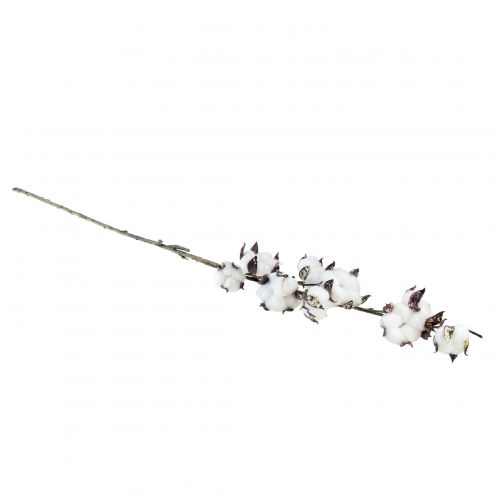 Floristik24 Ramo di cotone fiori di cotone artificiale marrone bianco L95 cm
