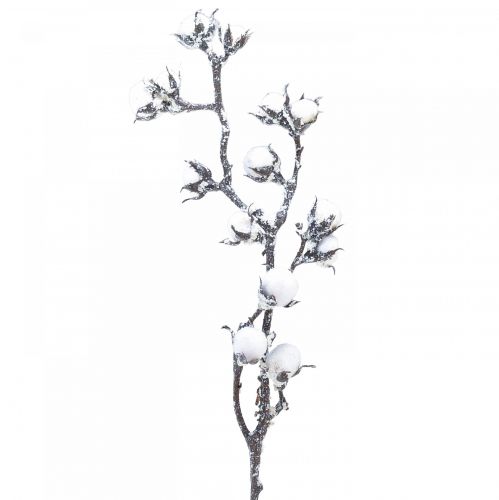 Floristik24 Ramo di cotone artificiale fiori di cotone con neve 79 cm