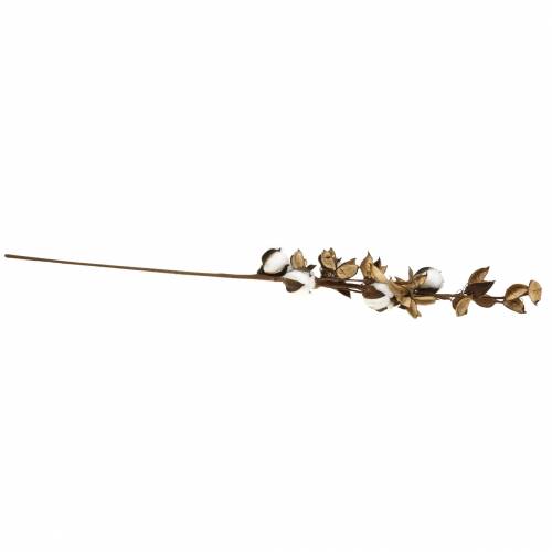 Floristik24 Ramo di cotone 75cm