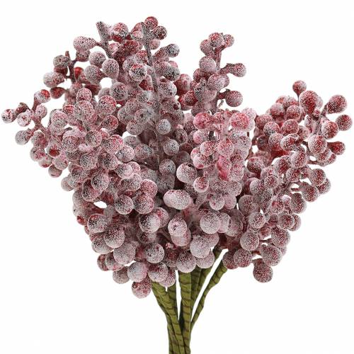 Floristik24 Raccogli bacche rosso, ghiacciato 21 cm 12 pz