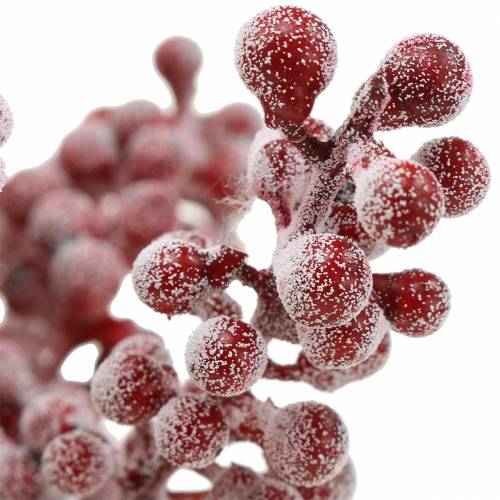 Floristik24 Raccogli bacche rosso, ghiacciato 21 cm 12 pz
