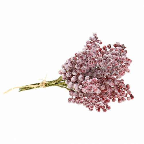 Floristik24 Raccogli bacche rosso, ghiacciato 21 cm 12 pz