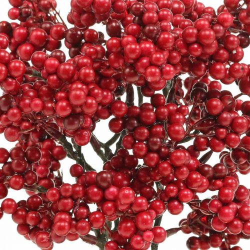 Floristik24 Ramo decorativo con bacche rosse ramo di bacche decorazione autunnale 26 cm 6 pezzi